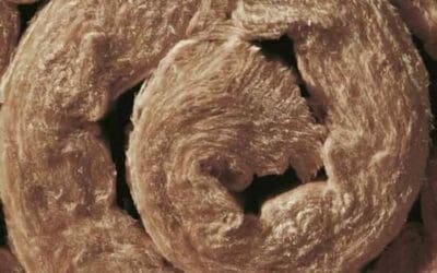 Thermal vs. Acoustic Insulation: What’s Best for Your Build?